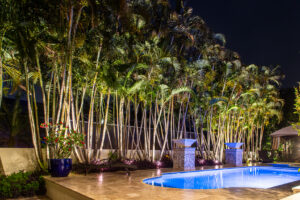 Backyard with tall bamboo and lagoon style pool